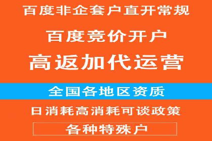 百度竞价公司案例分析：优化策略全解析